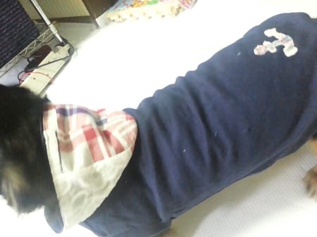 ライさんの作品