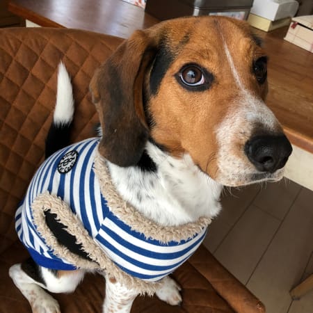 sarryさんの作品