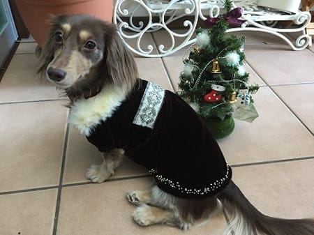 みにくろりんさんの作品