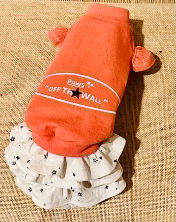 りりかさんの作品