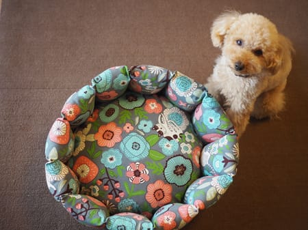 totokichi55さんの作品