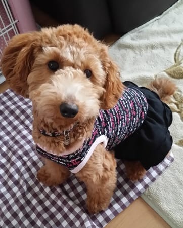 luce*さんの作品