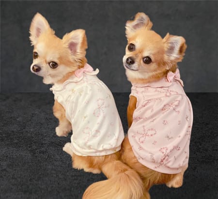 anirokitchenさんの作品