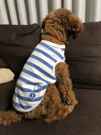 あられママさんの作品