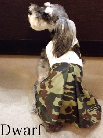 Dwarfさんの作品