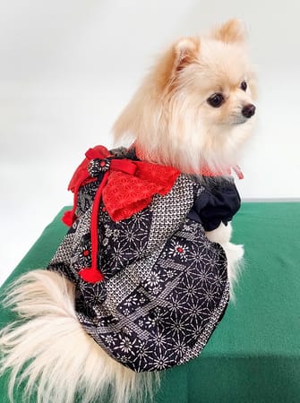 にこママさんの作品