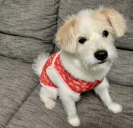 だぎりんさんの作品