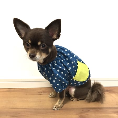 ゆずさんの作品