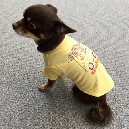 ゆずさんの作品