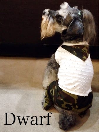 Dwarfさんの作品