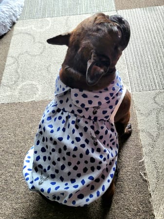 ぷー子りんさんの作品