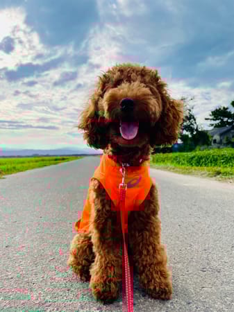 yukichiさんの作品