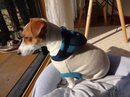 古都さんの作品