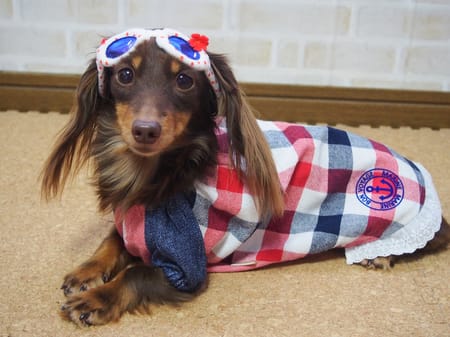 mamehanasoraさんの作品