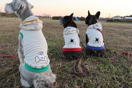 ちびっこさんの作品