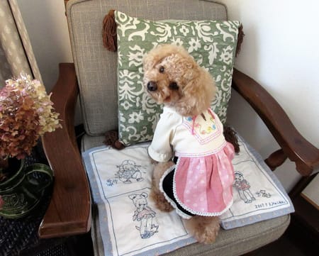 リンゴさんの作品