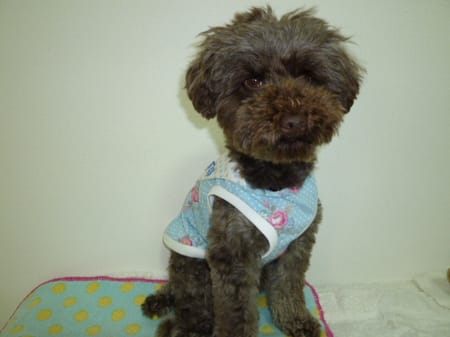 kunkunさんの作品