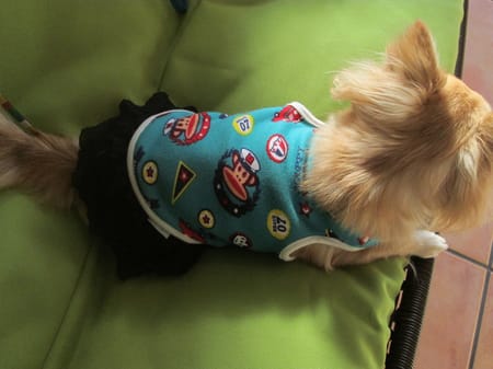 テンミーさんの作品