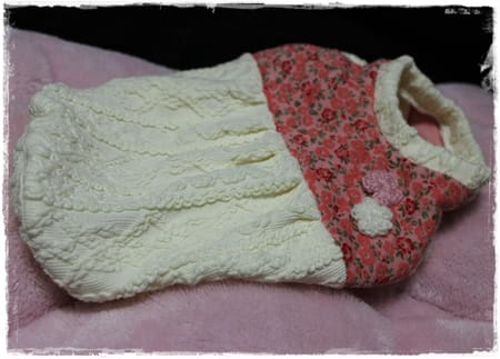 依音さんの作品