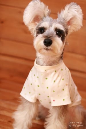 yucco*さんの作品