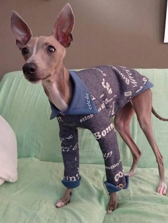 ちょここさんの作品