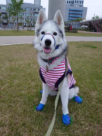 ななさんの作品