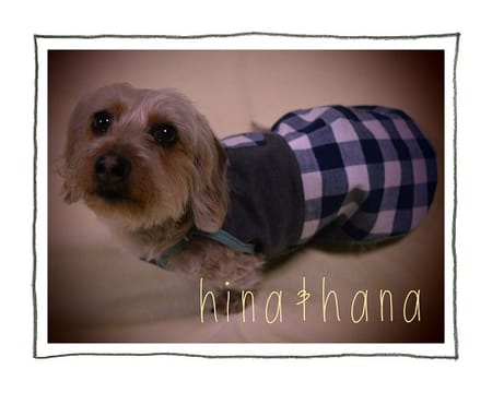 ひなはなさんの作品