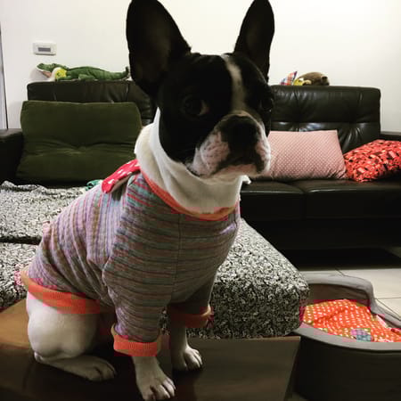 angelin40さんの作品