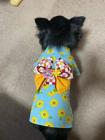 ちわはなさんの作品