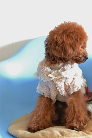 ひらまりさんの作品