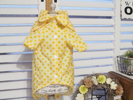 shimaさんの作品