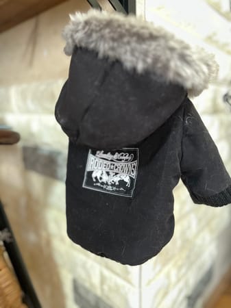 バッシーさんの作品