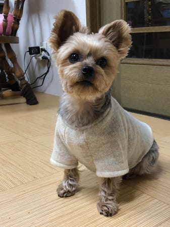 Keyakiさんの作品