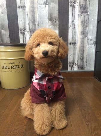 masunさんの作品