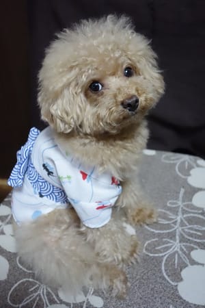 asukamamaさんの作品