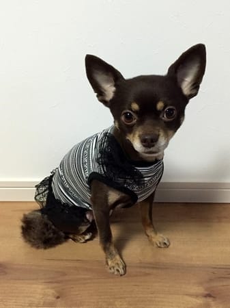 ゆずさんの作品