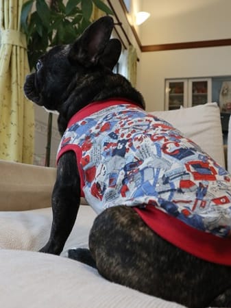 ちびっこさんの作品