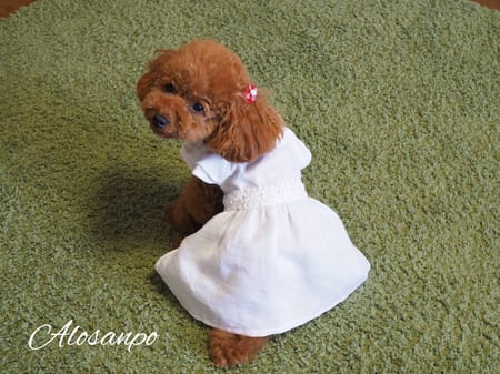 アロモアママさんの作品