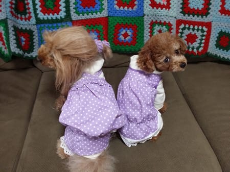 fragmentさんの作品