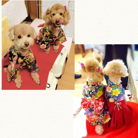 ココママさんの作品