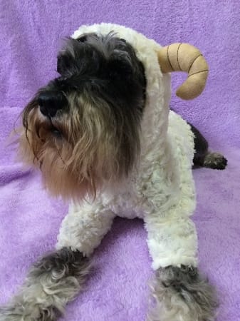 ひろ姉さんの作品