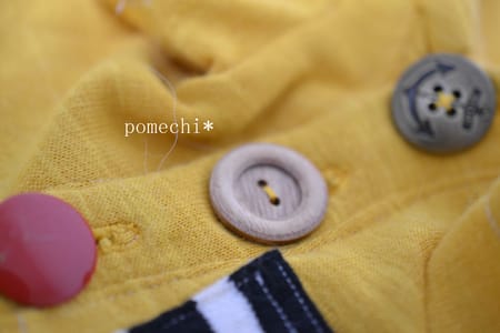 *pomechi*さんの作品