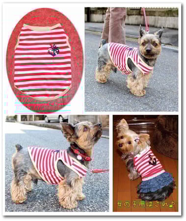 なおまろんさんの作品