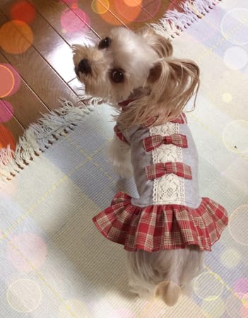 か〜ちゃさんの作品