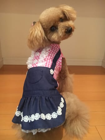 らくすさんの作品