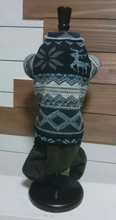 ちょここさんの作品