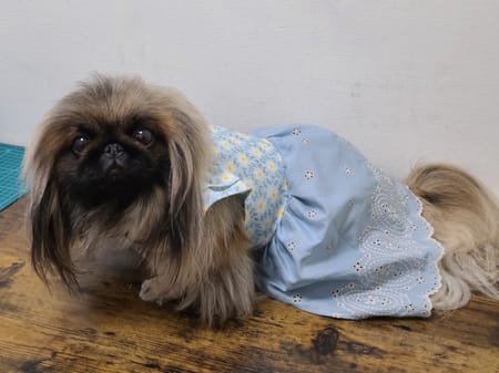 おとしらママさんの作品