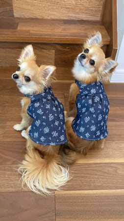 anirokitchenさんの作品