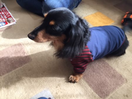 なんくるナイスさんの作品