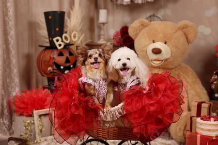 モコさんの作品